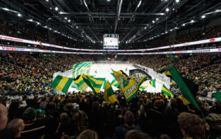 Tampereen Ilves tekee yhteistyötä Louhen kanssa turvatakseen verkkokauppansa sujuvan toiminnan. Kuva Ilveksen ottelusta.